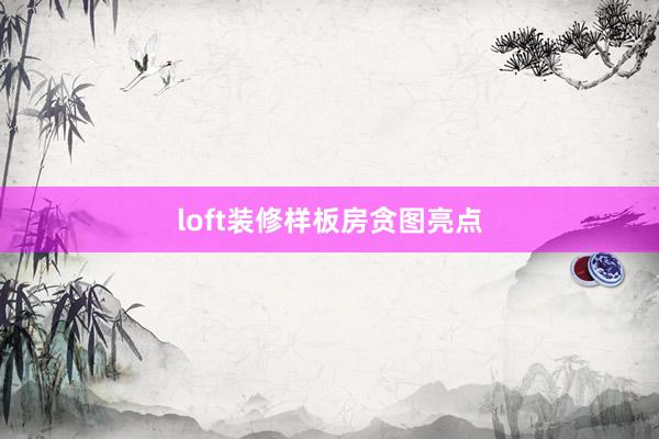 loft装修样板房贪图亮点