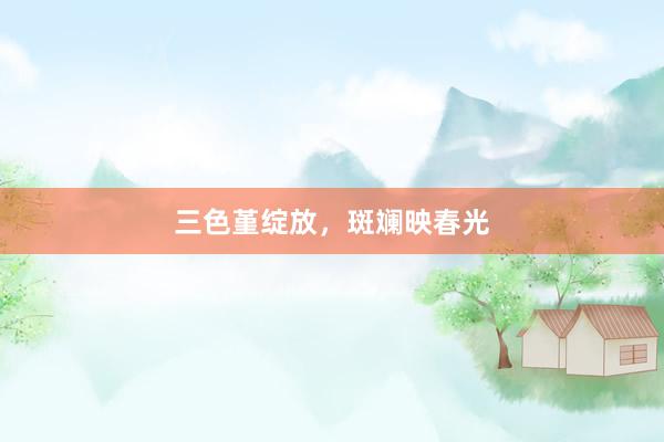 三色堇绽放，斑斓映春光