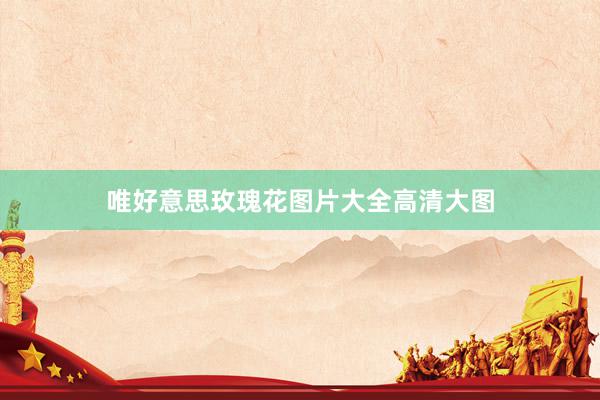 唯好意思玫瑰花图片大全高清大图