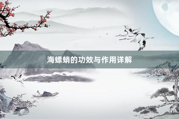 海螵蛸的功效与作用详解
