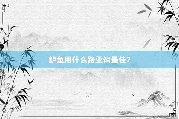 鲈鱼用什么路亚饵最佳？
